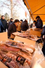 海の幸を求める買い物客でにぎわう会場（１５日午前９時ごろ）