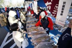 海の幸を求める買い物客でにぎわう会場（１５日午前８時５０分ごろ）