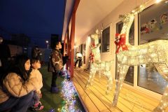 きょうはクリスマス　華やかなムードがまちを彩る