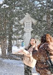 おおみそかに降り積もった雪が木々の枝から降り注ぎ、キラキラした粉雪が参拝客の目を楽しませた（１日、帯廣神社で）