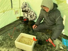 ホロカヤントーでワカサギ釣りを楽しむ親子（４日午前８時ごろ）