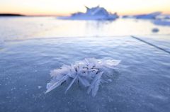 小寒の湖面に「御神渡り」