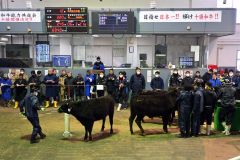 和牛初競り５７・9万円　回復基調、期待の声　十勝市場