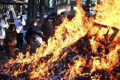 無病息災祈り「どんど焼き」　帯廣神社