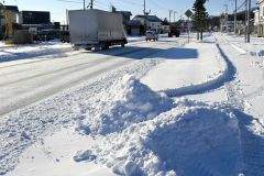 ７センチの降雪があった広尾町。マチは久しぶりに雪に包まれた（１７日午前９時ごろ）