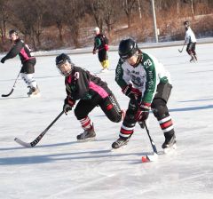 氷上で熱戦を繰り広げる選手たち