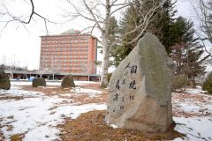 十勝俳句村（幕別町依田公園内）に立ち並ぶ句碑