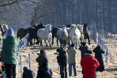 「馬追い」異例の雪なし　「大寒」も気温３、４月並み 8