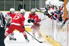 決勝・清水―駒大苫小牧（金野和彦撮影）
