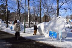 帯広市長賞を受賞した南幕雪像生産組合の「鯉」の前で記念撮影をする来場者（３１日午前１０時ごろ）