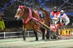 スターイチバンＶ　ココロノニダイメ２着　ばんえい翔雲賞