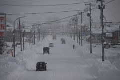 記録的大雪　埋もれた十勝～写真特集 写真9