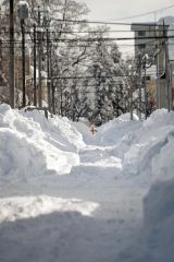 雪が降り積もった市道で除雪する市民（４日午後２時１５分ごろ、帯広市東４南５付近）