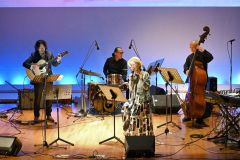 ジュエリーアイスの写真とともに上質な演奏が披露されたライブ