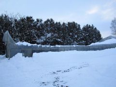 シイタケ栽培のビニールハウスの半分が押しつぶされている（オークル提供）