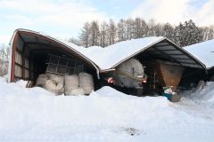 雪の重みでつぶれたＤ型ハウス