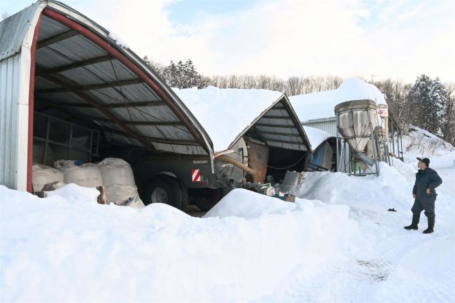 【写真】大雪でＤ型ハウスつぶれる　豊頃町の酪農業杉岡さん