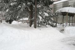 １・５メートル近く雪が積もり歩くことができない帯広協会病院前の歩道（５日午前８時５０分ごろ）