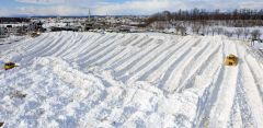 ダンプカーにより運び込まれた雪で大きな山となった雪捨て場（６日、幕別町依田で、塩原真撮影）