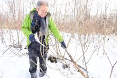 キツツキが虫を探してつついた木を示す室瀬さん