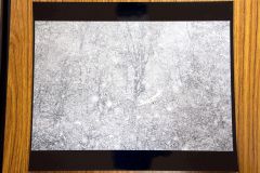最高賞の竹内敏信賞に選ばれた深町さんの作品「雪中行」