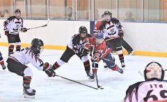 清水準Ｖ、白樺学園３位、十勝連合５位　北北海道高校アイスホッケー大会後期決勝大会 10