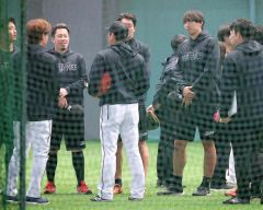練習試合前に室内でウォーミングアップをするロッテの河村説人（右から２人目）＝沖縄・コザしんきんドーム