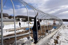 大雪で被災のビニールハウス、復旧本格始動　対応策模索の動きも　音更