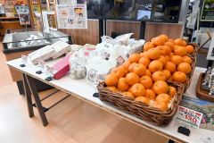 ポンカンや菓子など５種類の特産品が販売された
