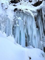 冬の造形美　迫力の氷瀑～記者山歩