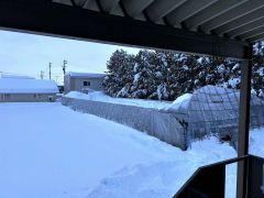 雪の重みで押しつぶされてしまった芽室高校野球部の屋内練習場（２月６日、保護者提供）
