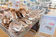 道の駅忠類で販売されているナウマンゾウの縫いぐるみ