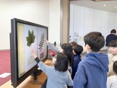 植物標本を探すゲームに挑戦する子どもたち