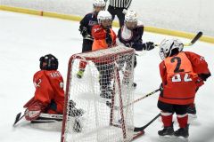 清水御影６戦全勝で優勝、ＢＥＧＩＮＮＥＲＳクロスアイスゲーム 22