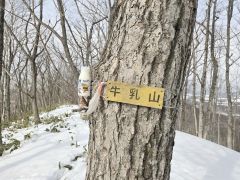 牛乳山の山頂