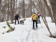 新得山から牛乳山への縦走ルート。犬を連れてスノーシューハイクを楽しむ人もいた