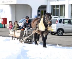 馬橇の花嫁や家庭料理で交流　幕別忠類「女性まつり」