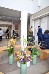 生け花で春の気配を 日本華道院十勝支部 9日まで帯広図書館 4