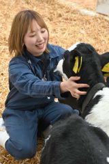 やさしい笑顔で子牛と触れ合う朝倉さん