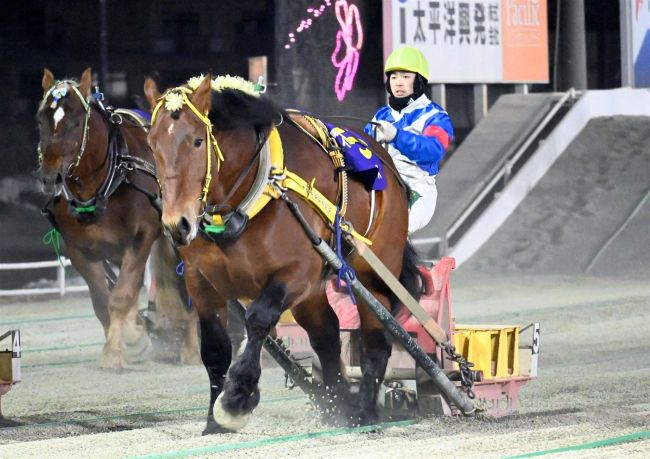キョウエイエース粘って逆転勝利、重賞２勝目　ばんえいイレネー記念