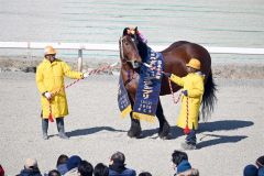 引退するミノルシャープ（１５日午後１時１０分ごろ）