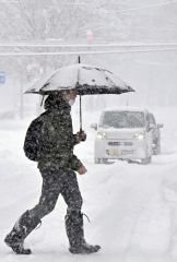 また大雪　広尾４４センチ、帯広２９センチ 10