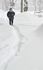 また大雪　広尾４４センチ、帯広２９センチ 11