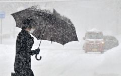 雪が降る中、傘を差して通勤する市民（１７日午前８時半ごろ、帯広市西６南７で。塩原真撮影）