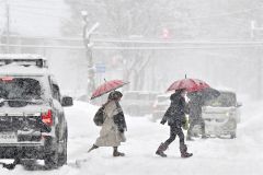 雪が降る中、傘を差して通勤する市民（１７日午前８時半ごろ、帯広市西６南７で。塩原真撮影）