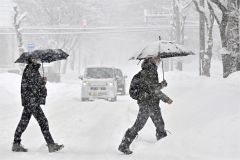 雪が降る中、傘を差して通勤する市民（１７日午前８時半ごろ、帯広市西６南７で。塩原真撮影）