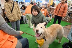 セラピードッグのゴールデンレトリバーとふれあう子どもたち
