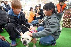 セラピードッグとふれあう来場者でにぎわう会場