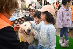 セラピードッグのゴールデンレトリバーとふれあう子どもたち