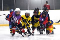 幼年アイスホッケー十勝交流大会